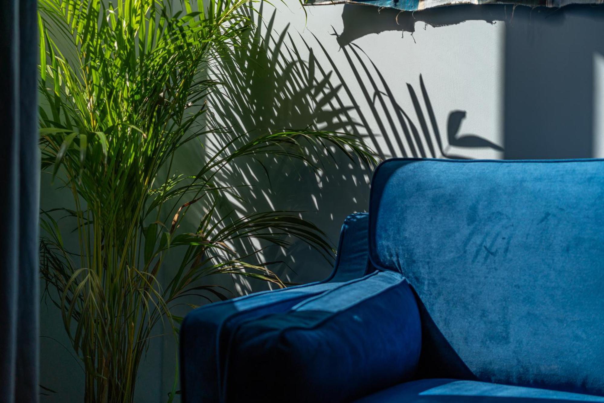 Le Bleu Jean Denim Arenes - Une Nuit A Nîmes Eksteriør billede